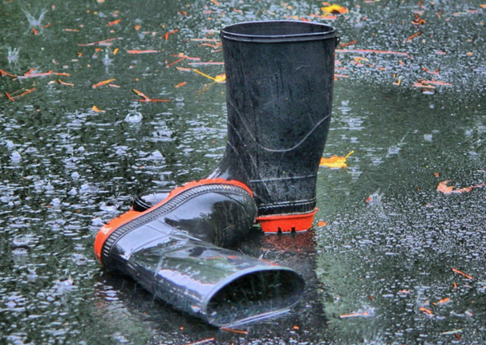 Не всякому дан талант переобуваться на лету / Фото: pxhere.com