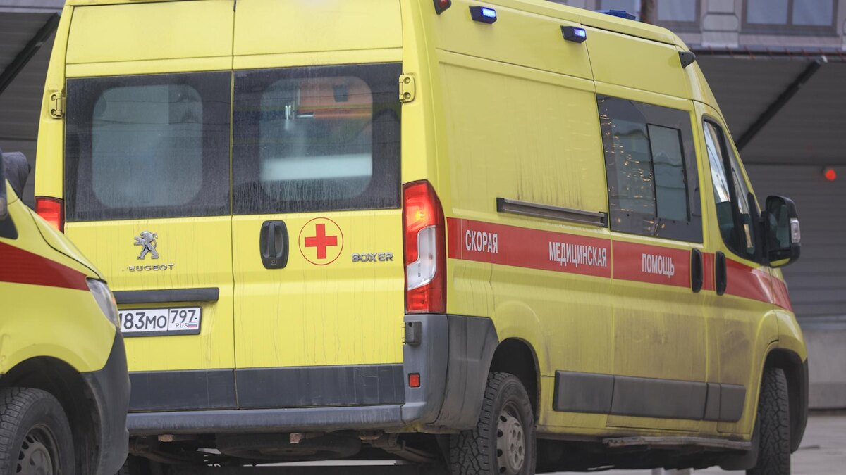    Фото: Shatokhina Natalia/news.ru