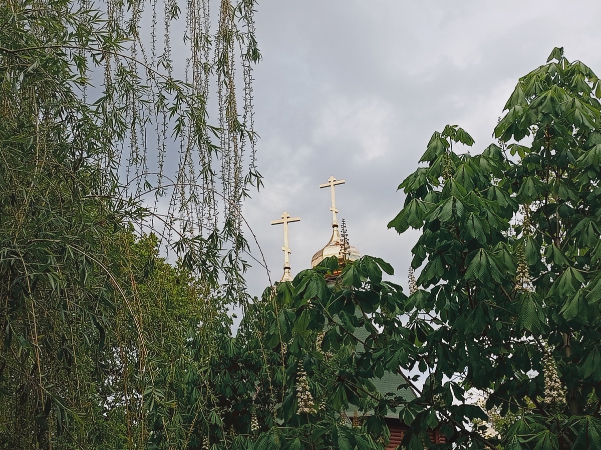    Фото: архив progorod