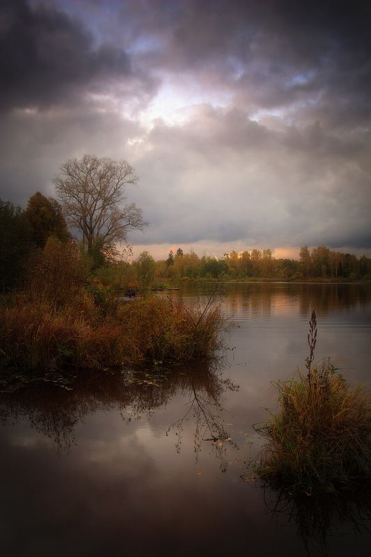 Октябрьской вечер. Фото Сергея Алексеева. Источник: 35photo.pro
