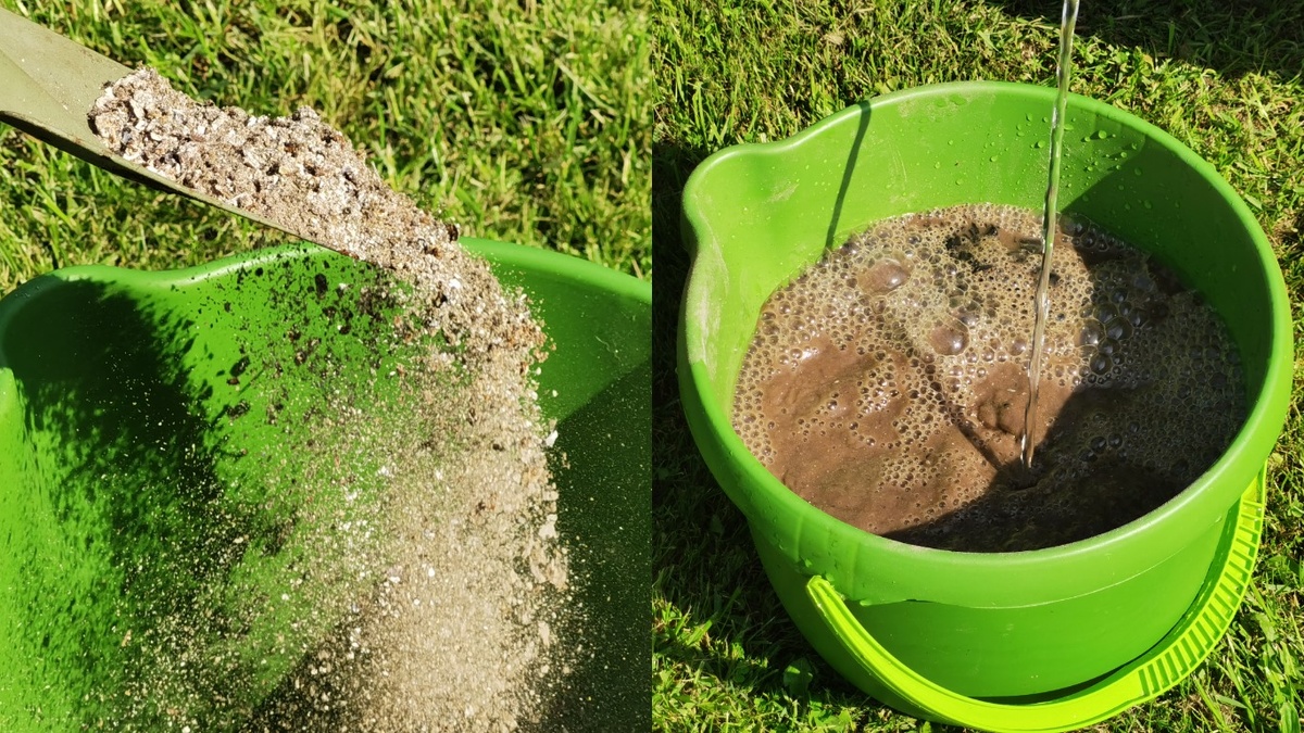 Зольный настой - основа народных подкормок