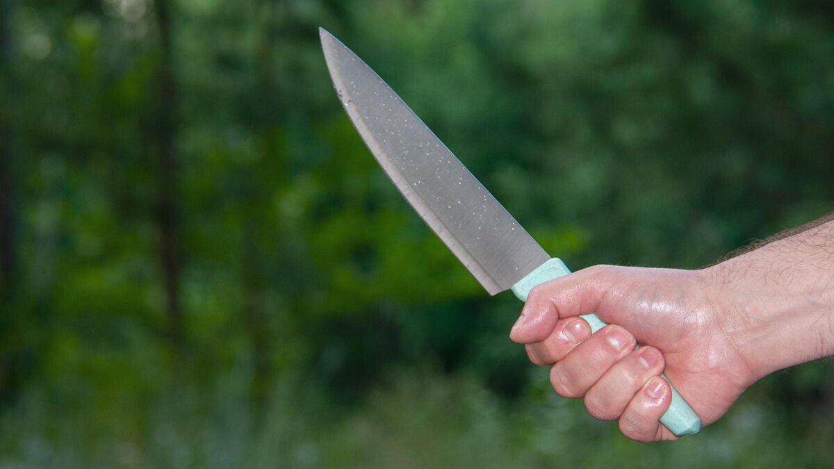    Фото: Svetlana Vozmilova/globallookpress.com