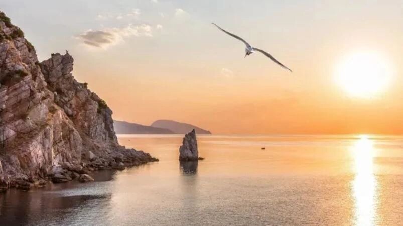    Фото: AlexAnton/Shutterstock/Fotodom