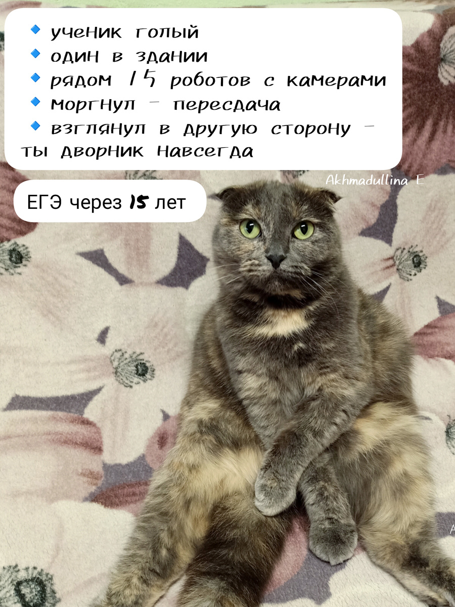 А что? Почти всё сбылось в этом пророчестве 