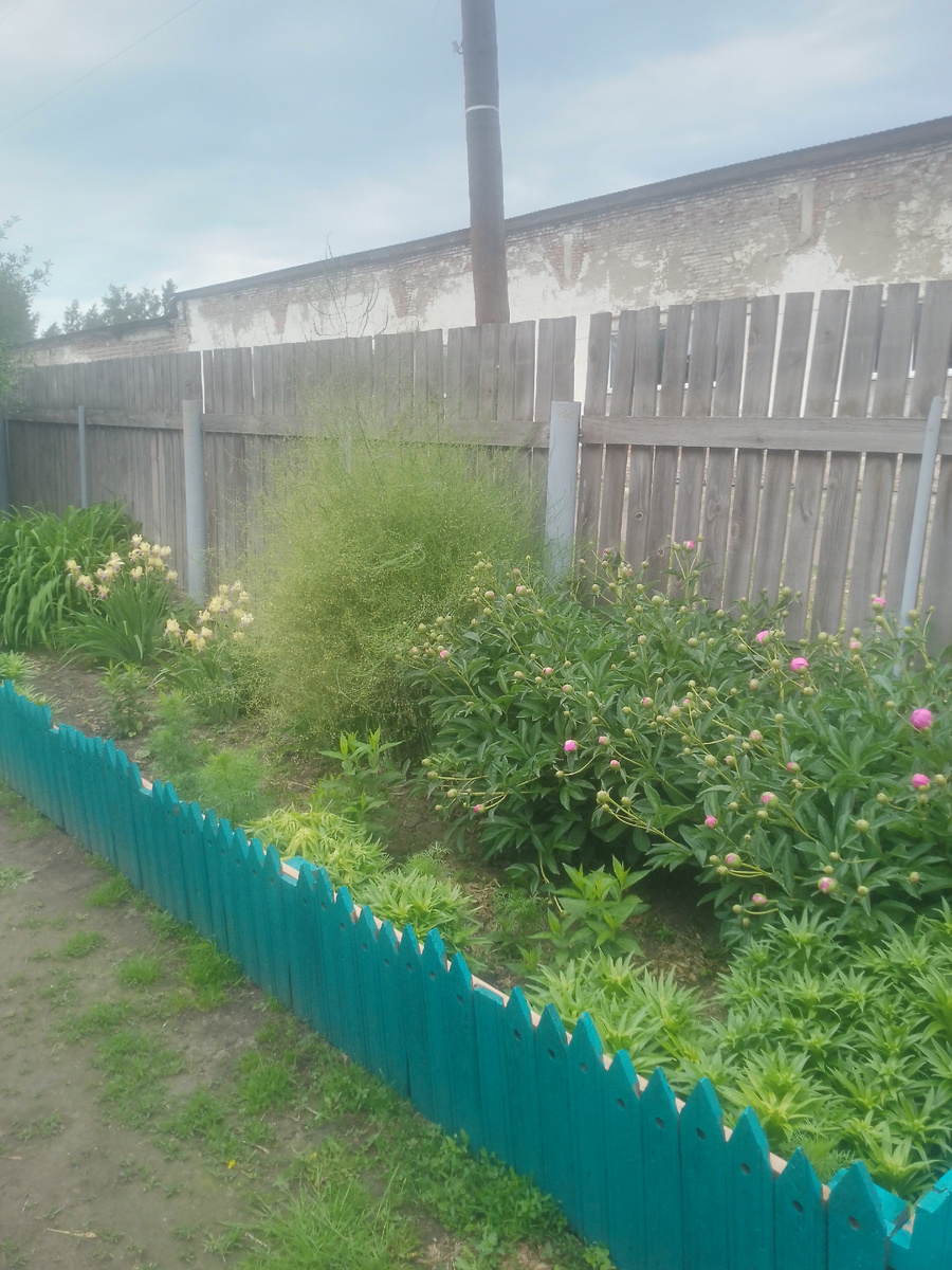 Фото автора. 