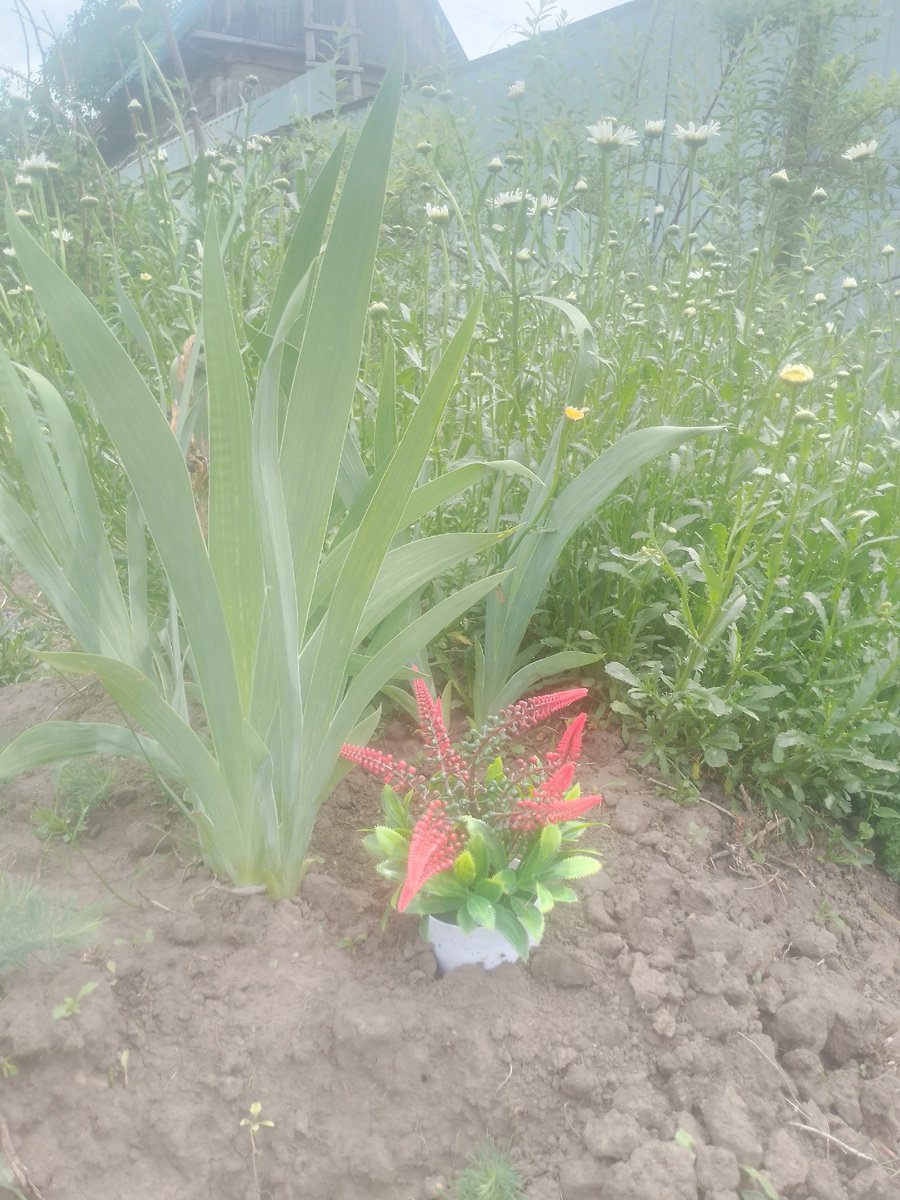 Фото автора. 