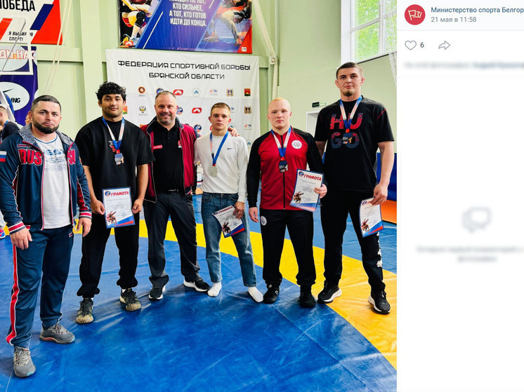     Белгородцы выиграли медали межрегионального турнира по вольной борьбе, фото: скриншот страницы vk.com/minsport_bo31
