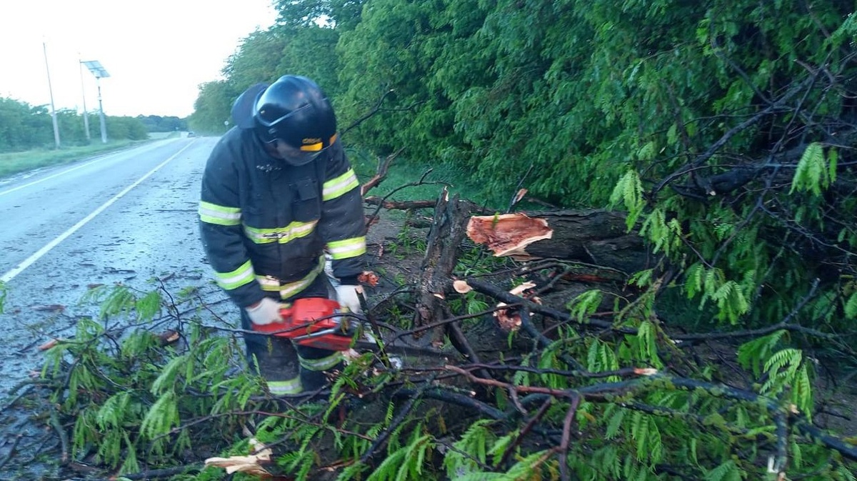     Фото: Пресс-служба администрации Краснодара