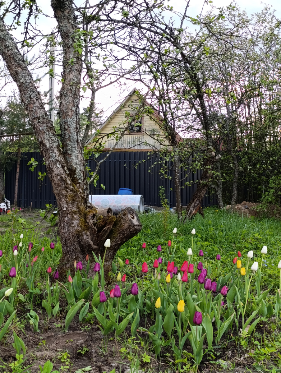 Лежит на заднем фоне, ждёт своего часа