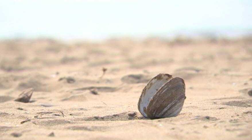    Источник фото: