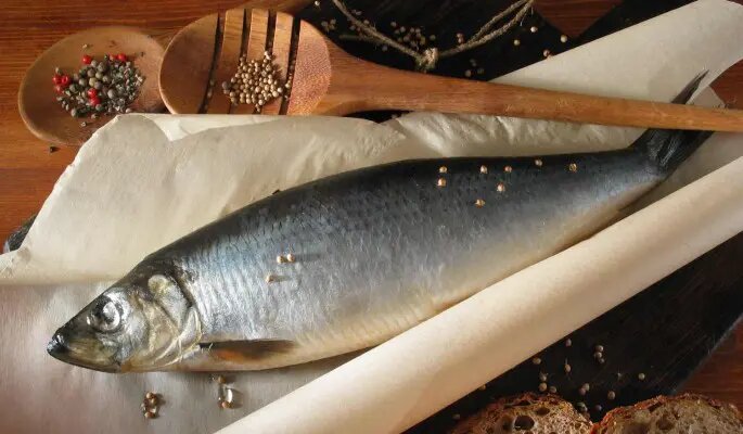    Фото: dni.ru Полина Белоусова