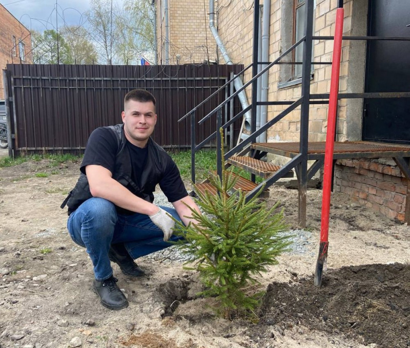    Следователи посадили елки в ПряжеСледком Карелии