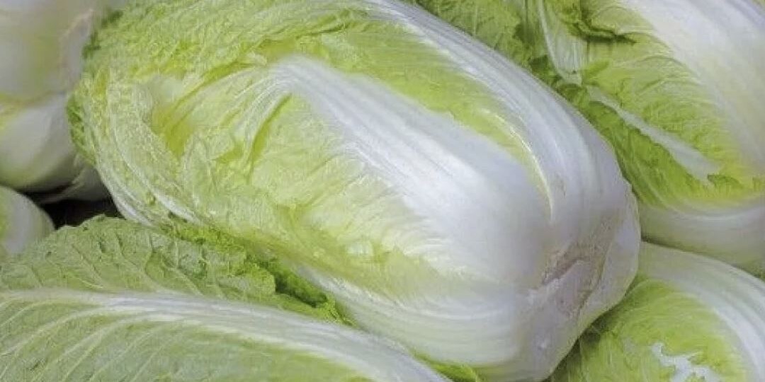 Секреты выращивания пекинской капусты: как получить сочные кочаны без стрелкования