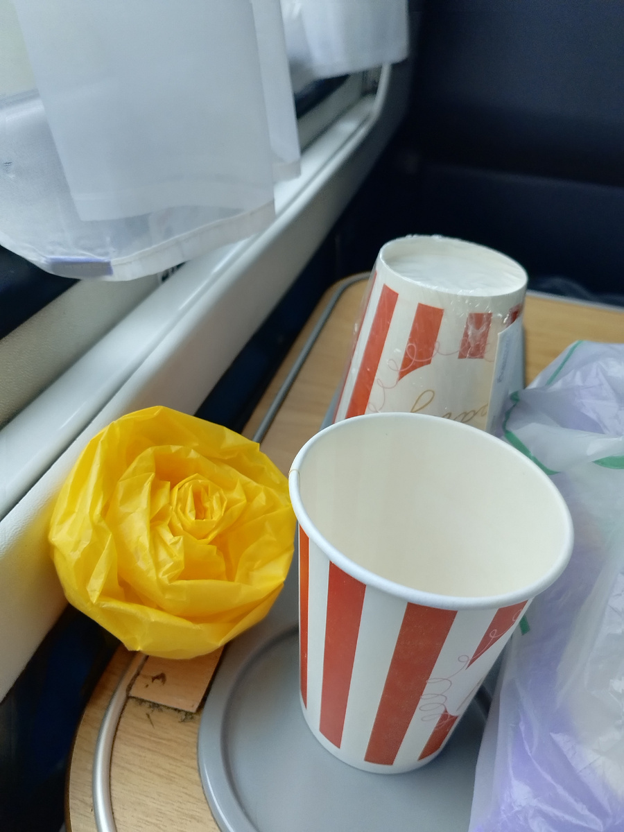 Этот цветок нам подарили в торговом центре намвокзале, он был пропитан парфюмом и я всю дорогу наслаждалась его потрясающим ароматом