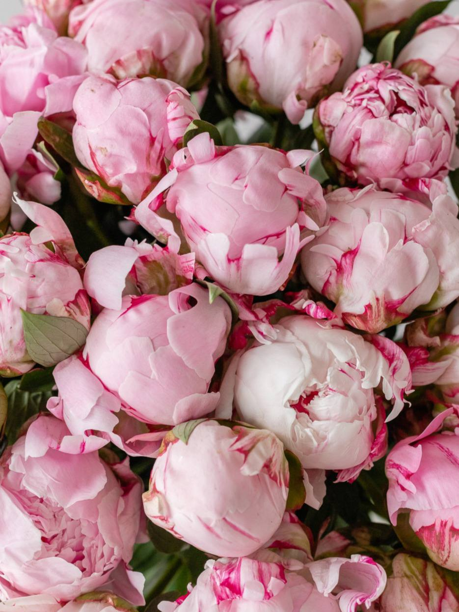 Сезонные пионы - тренд мая и июня.