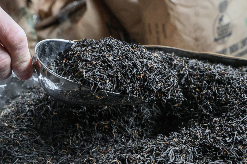    ФОТО: Bulkin Sergey/news.ru/Global Look Press