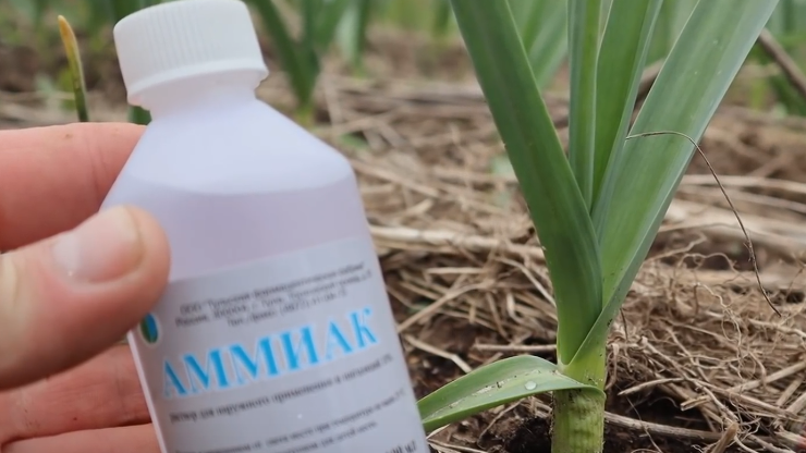 Точная дозировка - залог успеха, меряю каждый миллилитр