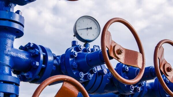    © iStock.com \ Polina-Petrenko