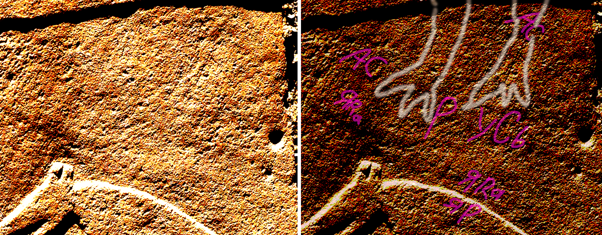 Надписи "Ас Русь Яра" (асы, ясы Субарту) над изображением лисицы. Храмовый комплекс в Гебекли-Тепе. Столб 10, секция B: лиса.