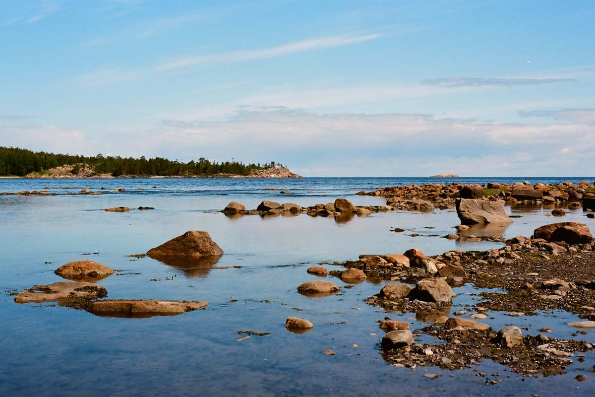 Белое море летом в июле