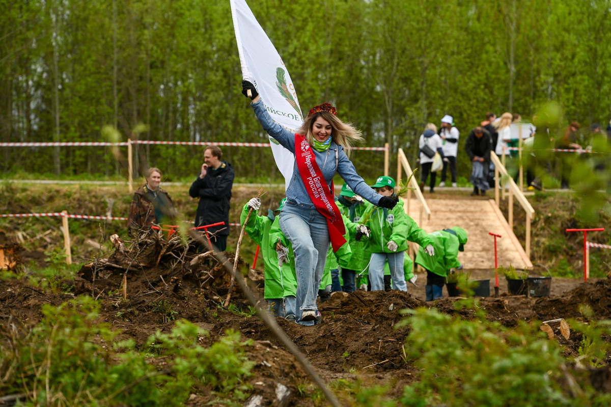 Акция «Всероссийский день посадки леса» во Всеволожском районе Ленинградской области, 24 мая 2025