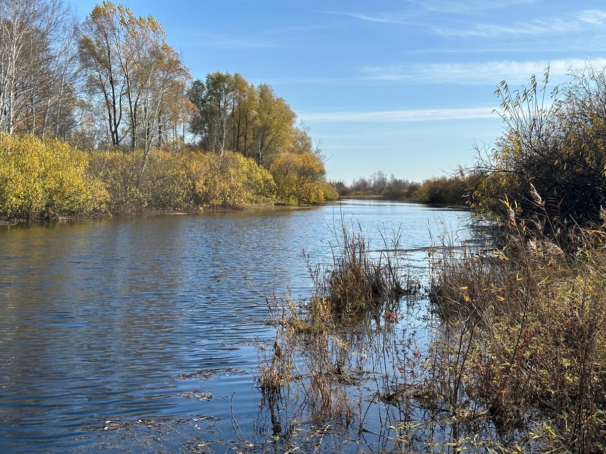 Фото автора. 