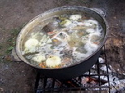 Готовим уху !