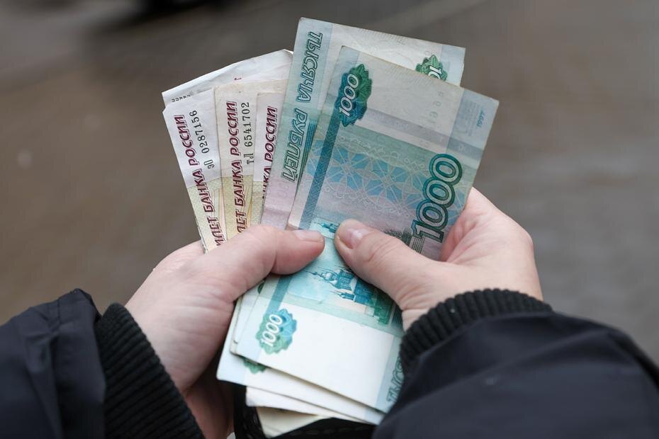   Наталья Шатохина/NEWS.ru
