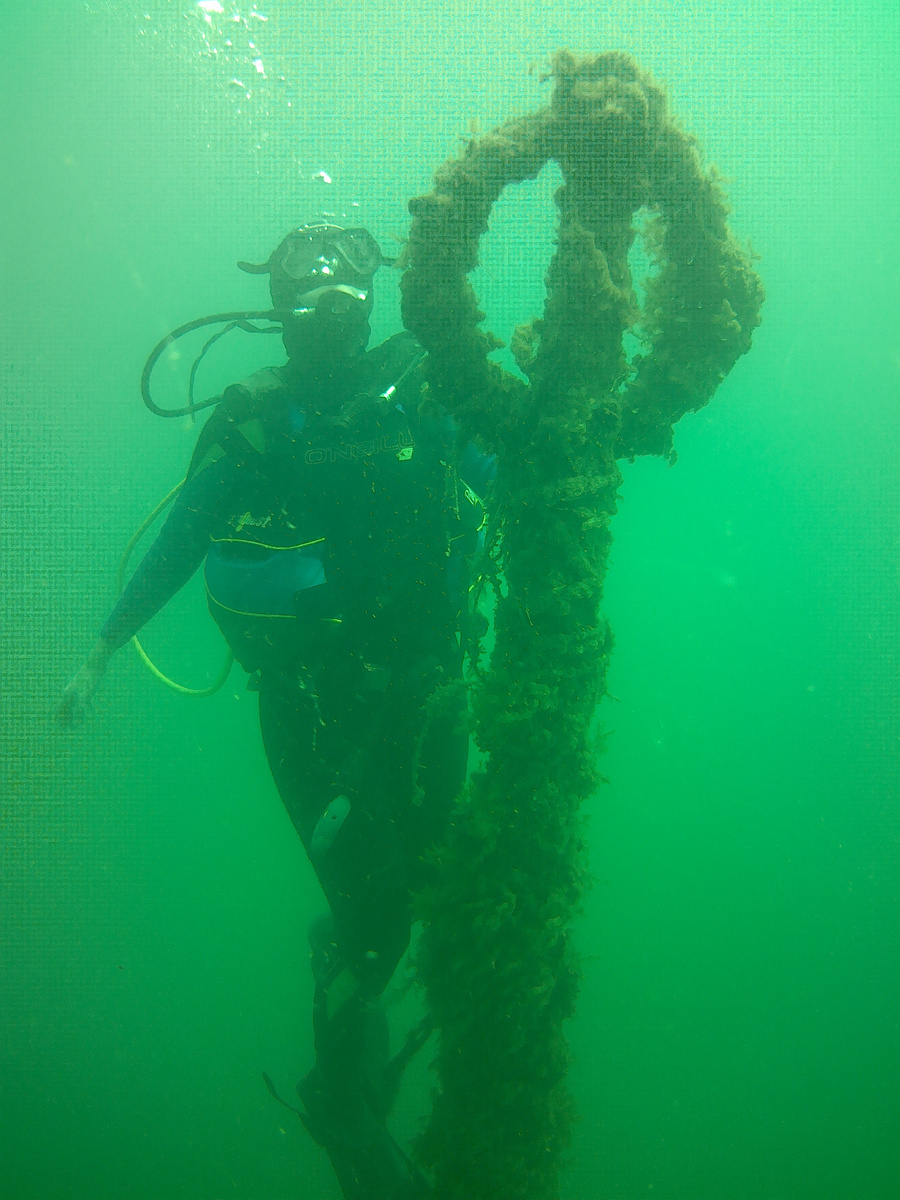 Добываю сертификат дайвера в Черном море - правда пока только начальный уровень, но добыла😎