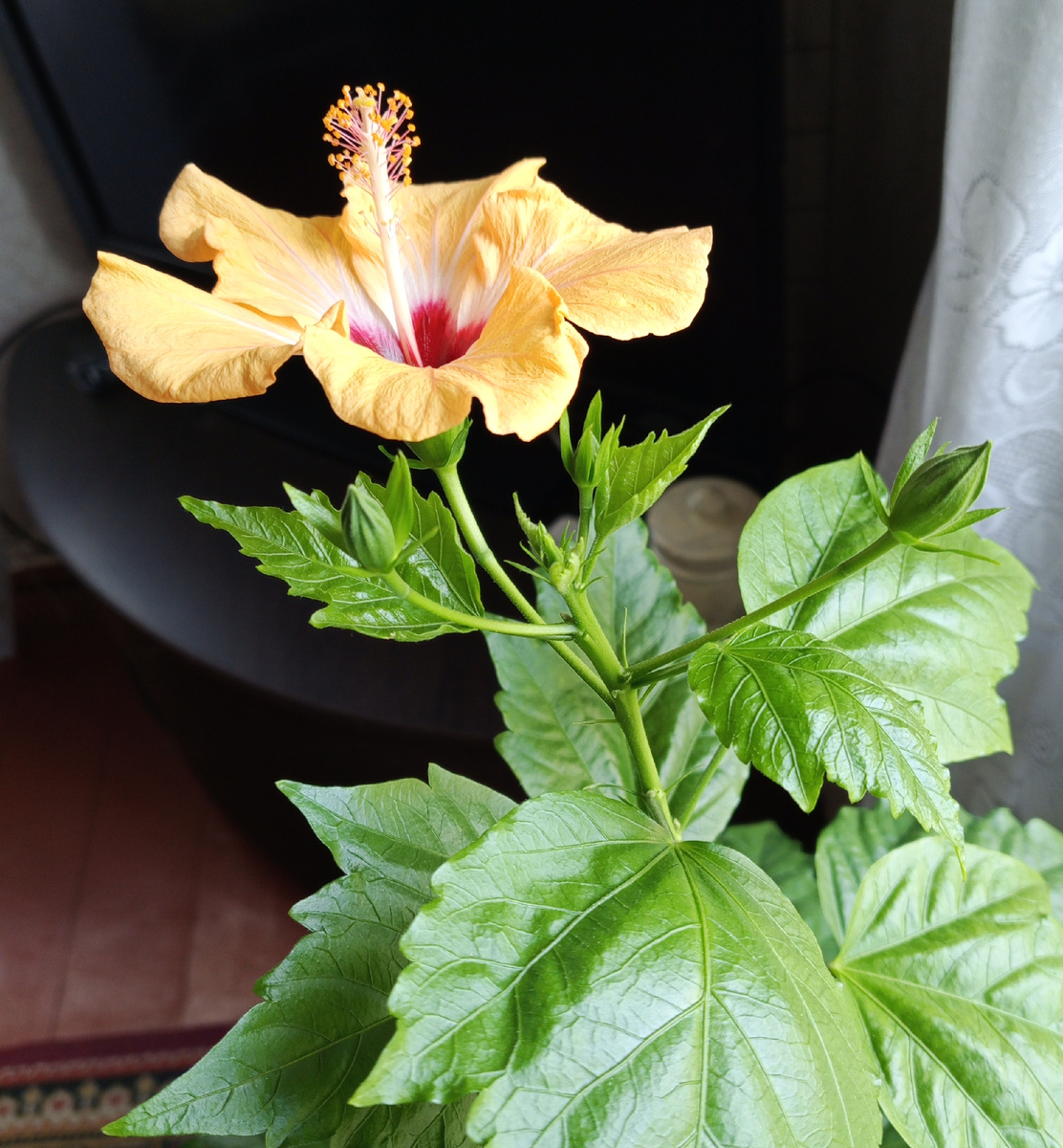 Все фото в этой статье - автора.