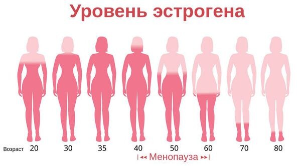 Какие анализы нужно обязательно сдавать женщине после 50 лет: полное руководство для здоровья в менопаузу