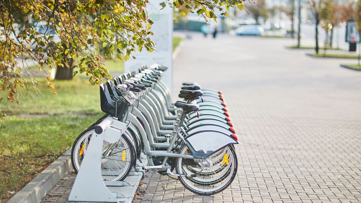    Фото: Anikin Dmitrii/Shutterstock/Fotodom