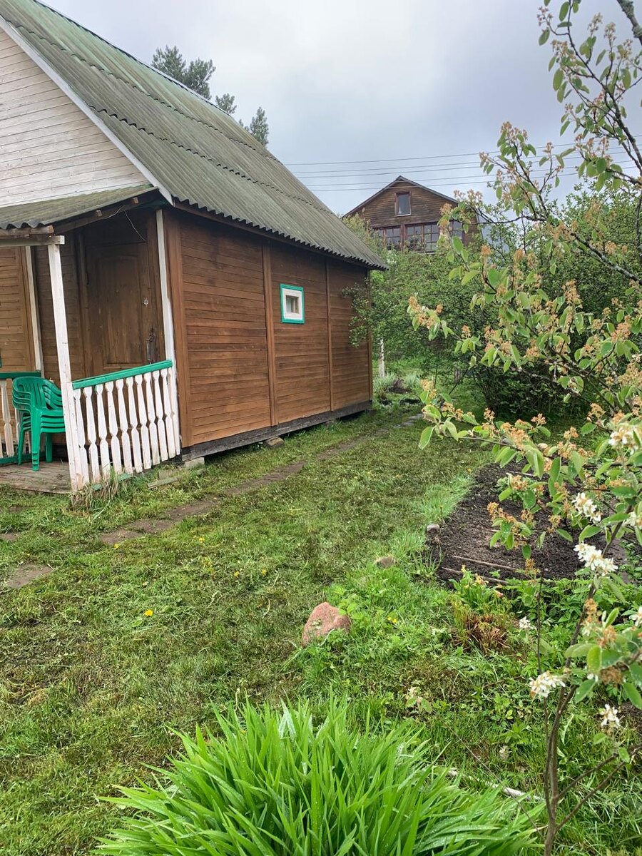 Мокро пока. Но грядки уж засеяла: лук, зеленка, мангольд, горчица. 