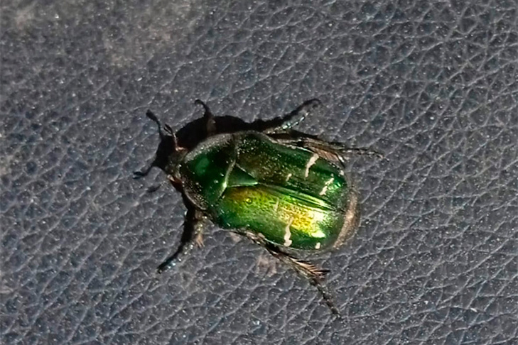 ©Фото Алексея Яновского.📷
