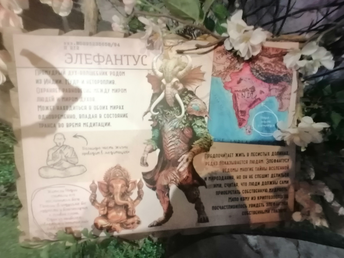 Все фото мои