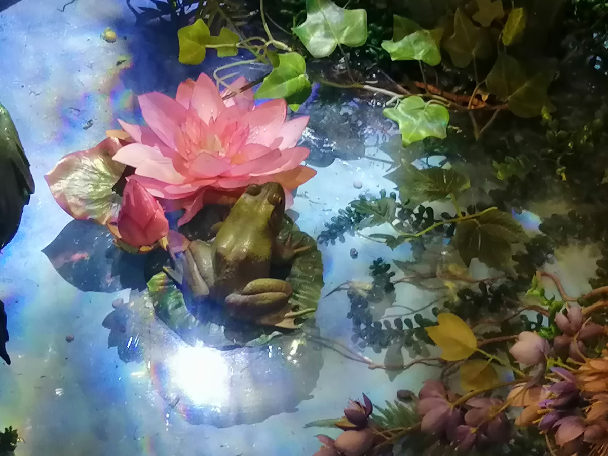 Все фото мои