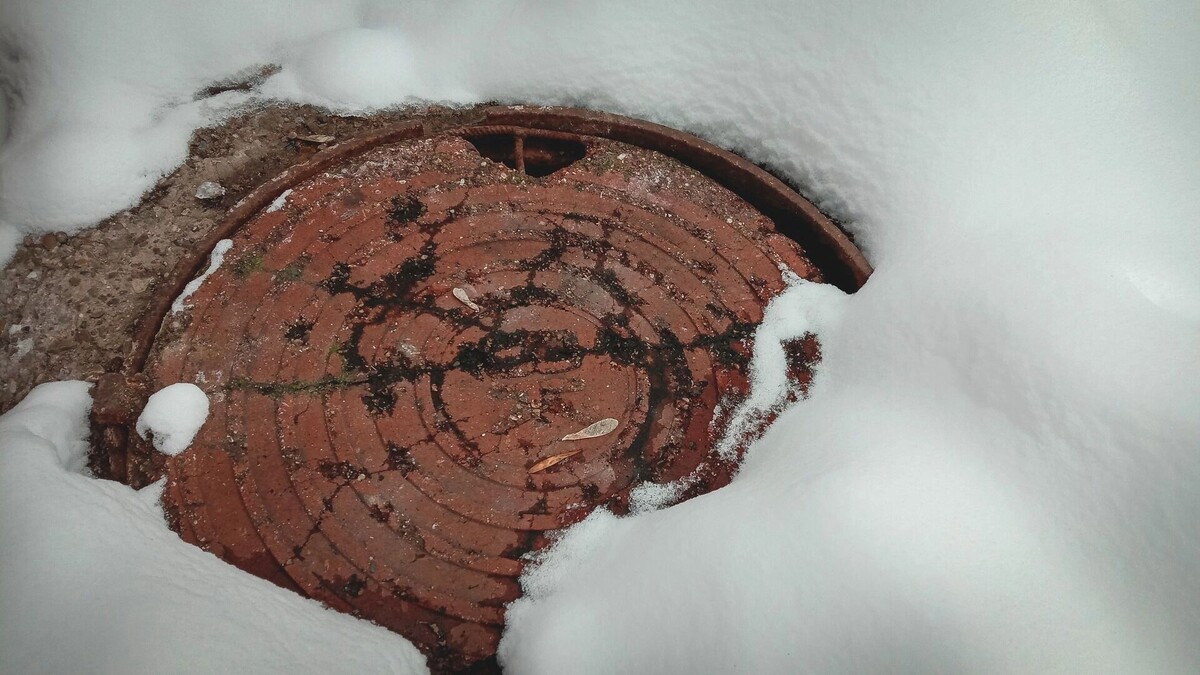     Источник: 1MI