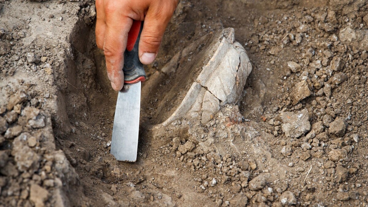    Фото: Mariana_Rusanovschi/Shutterstock/Fotodom