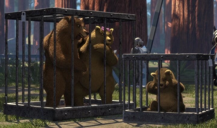 Семья медьведев. 