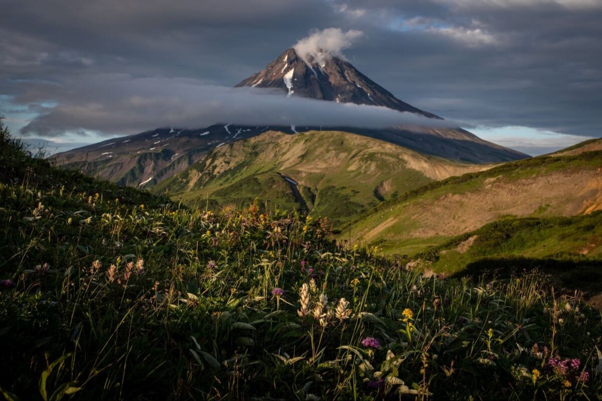 Фото с https://ru.pinterest.com/pin/821203313318599753/