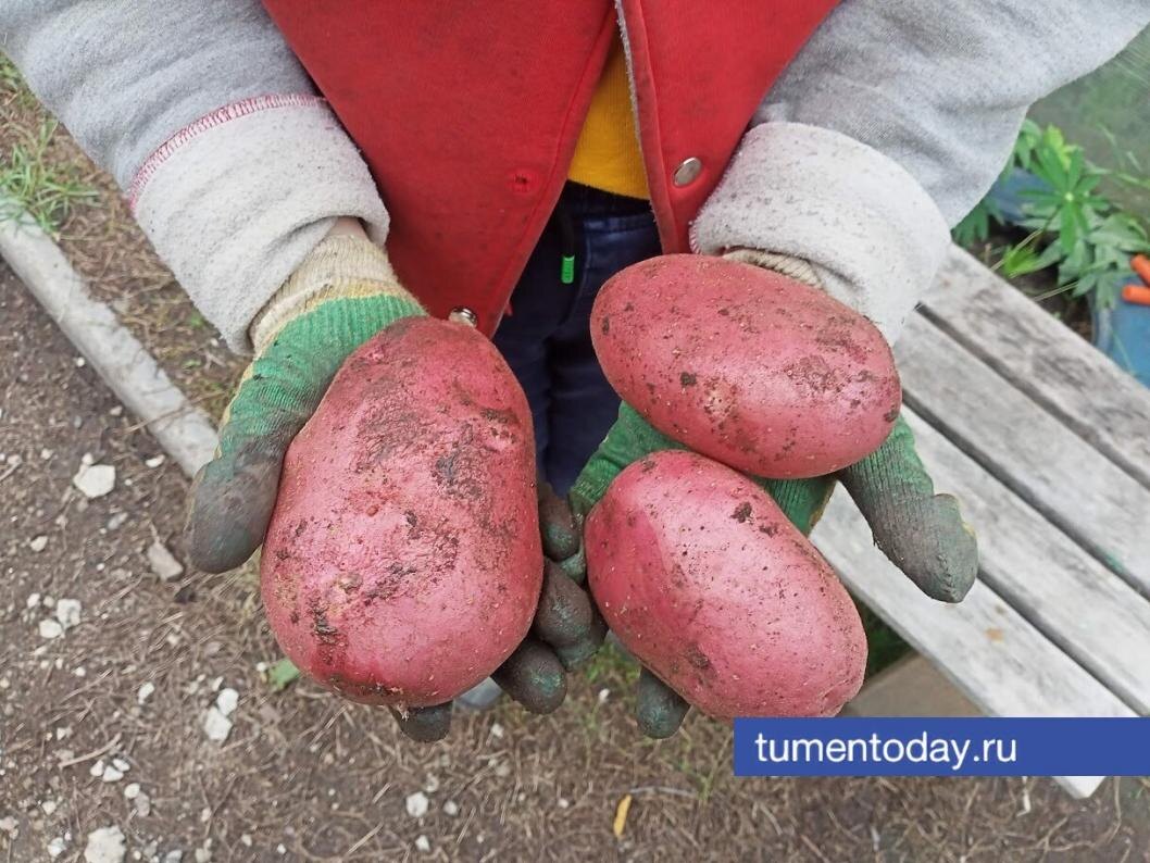  Фото Евгении Ноговициной