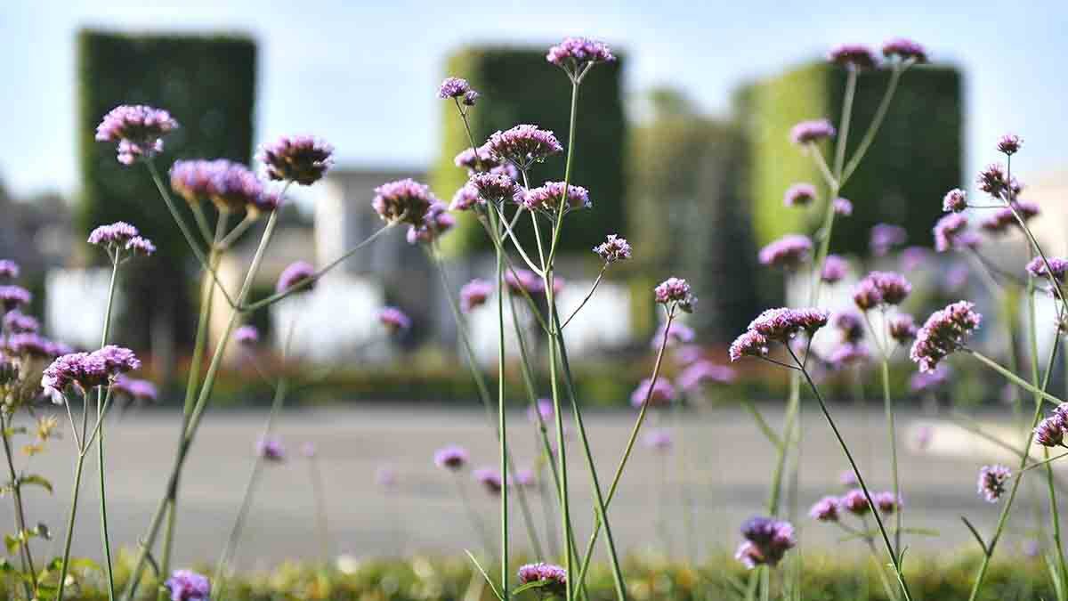    Фото: Сергей Киселев / АГН Москва