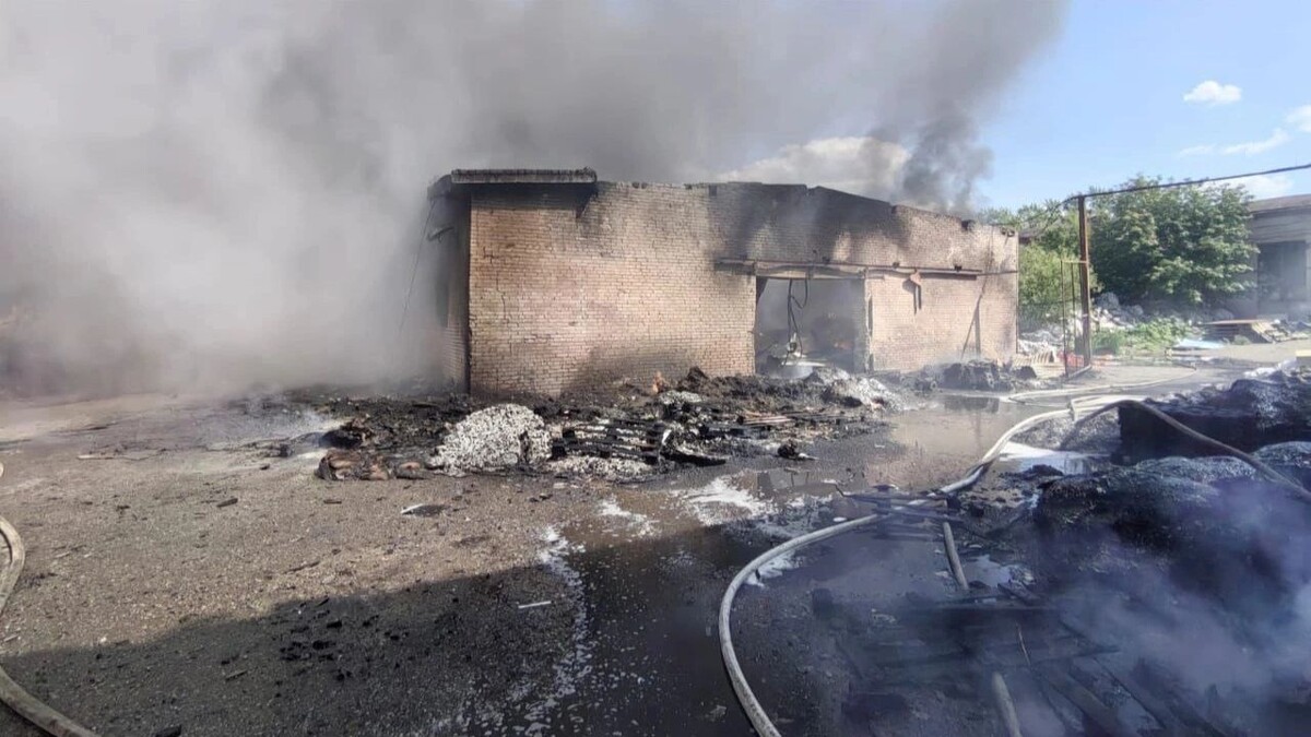    Фото: t.me/mosoblproc