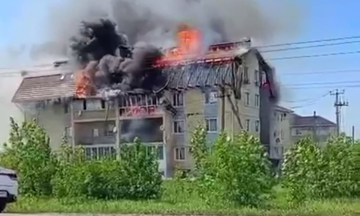    Фото t.me/stanica_starominskaya