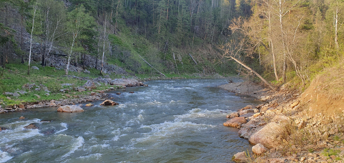 Автор фотографии: Николай Захаров