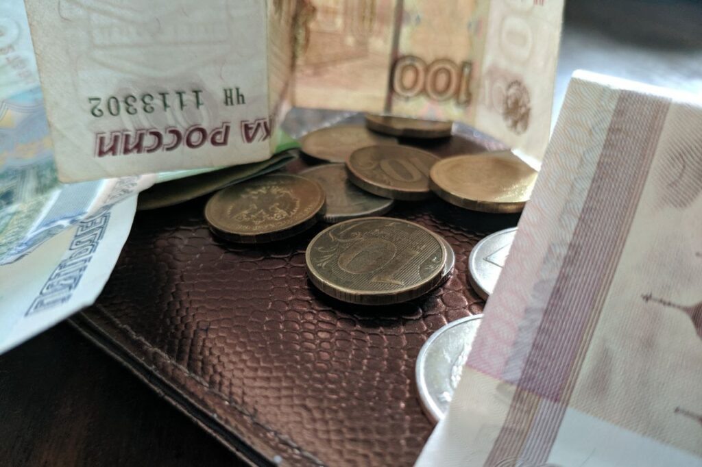    Фото: Иван Березин / sn-gazeta.ru Елена Воронцова