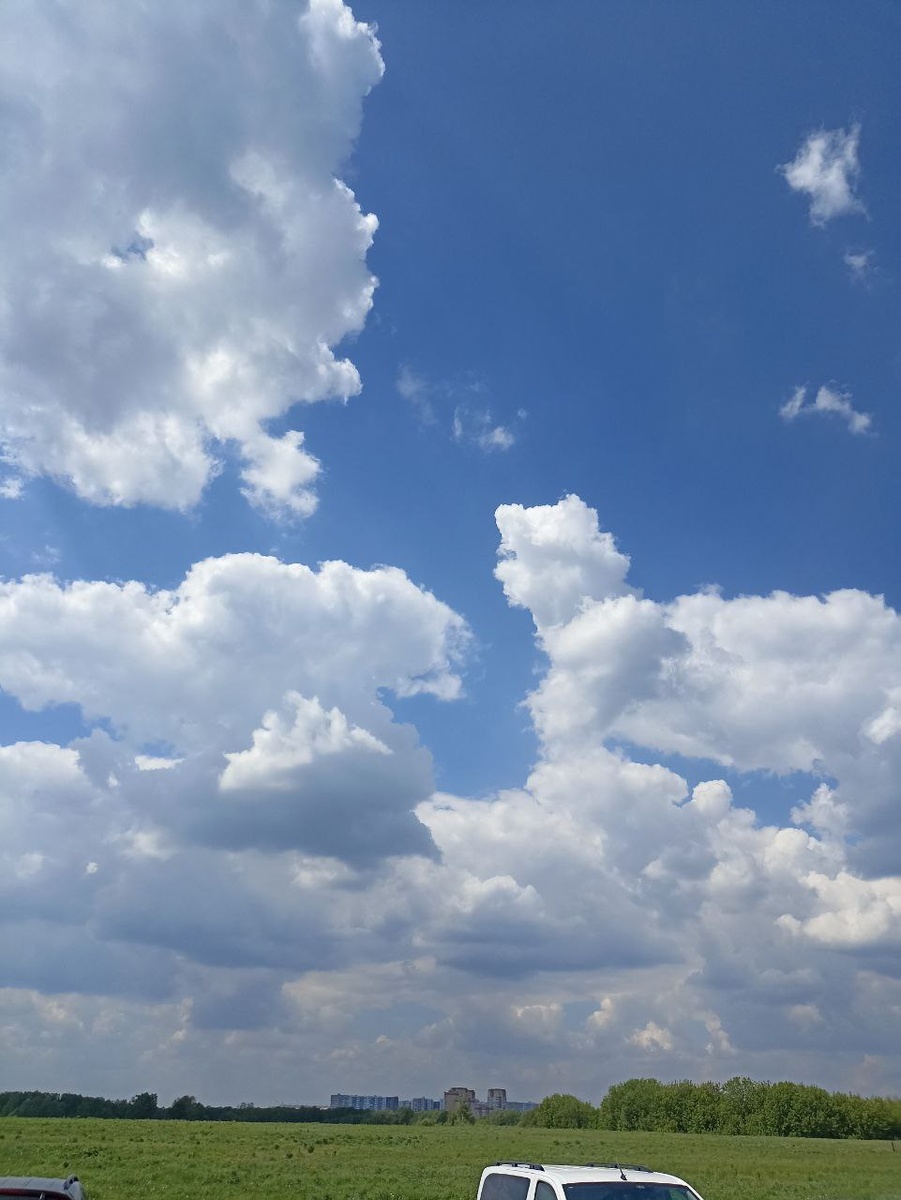 жарко, солнечно, в любой свободный день выезжаем на природу, не т никаких сил и желания стоять у плиты в душной кухне, поэтому в такие дни предпочитаем обходиться бутербродами или другим и вкусняшками собственного приготовления