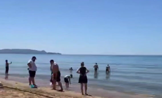    Фото: соцсети