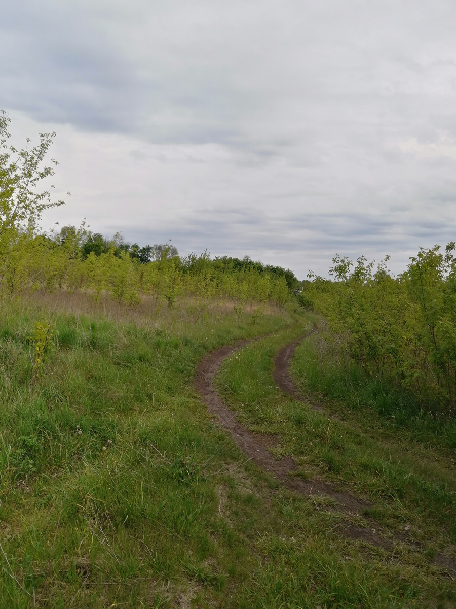 Красивый поворот дороги