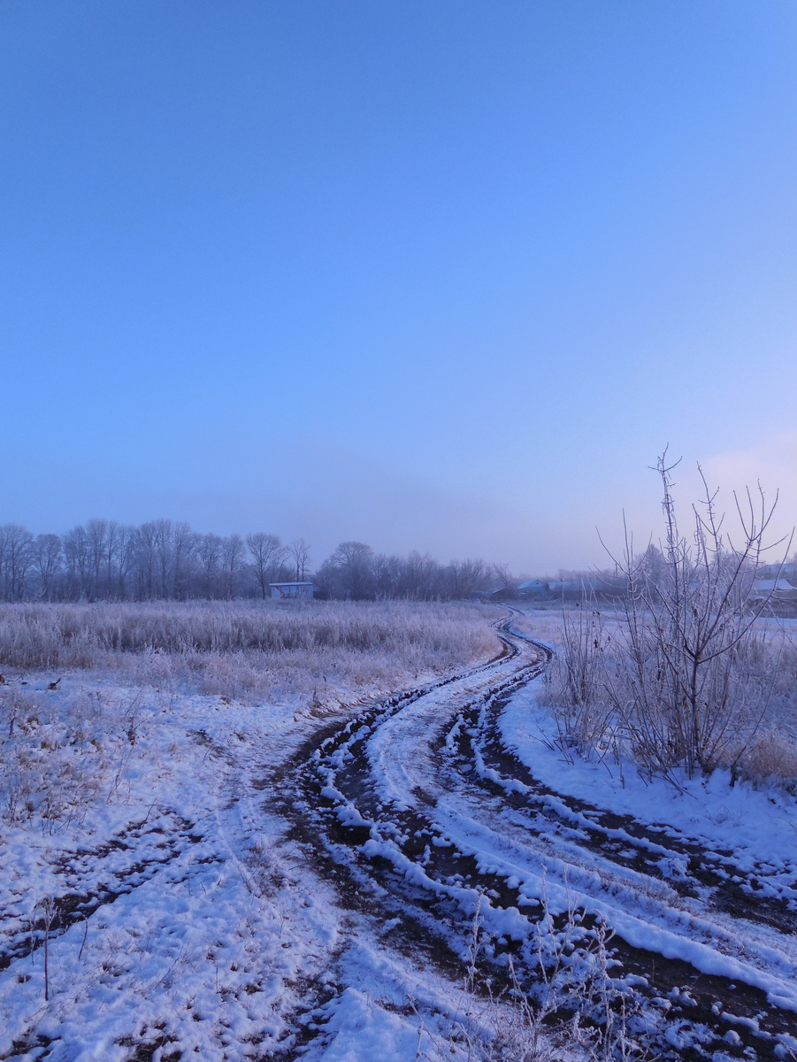 Красивый поворот дороги в снегу зимой